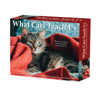 Willow Creek What Cats Teach Us Scheurkalender 2027 Boxed