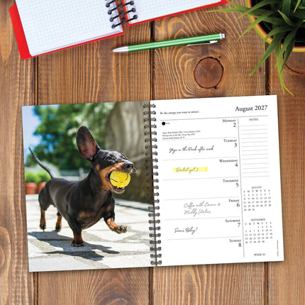 Willow Creek What Dogs Teach Us Agenda 2027