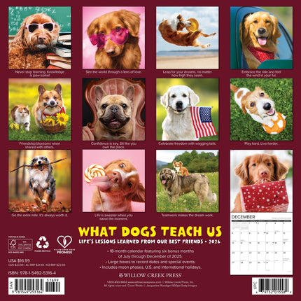 Willow Creek What Dogs Teach Us Kalender 2026
