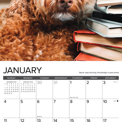 Willow Creek What Dogs Teach Us Kalender 2026
