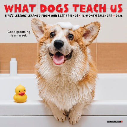 Willow Creek What Dogs Teach Us Kalender 2026 Mini