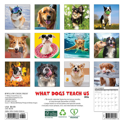 Willow Creek What Dogs Teach Us Kalender 2026 Mini