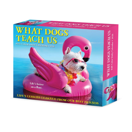 Willow Creek What Dogs Teach Us Scheurkalender 2026 Boxed
