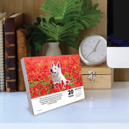 Willow Creek What Dogs Teach Us Scheurkalender 2026 Boxed