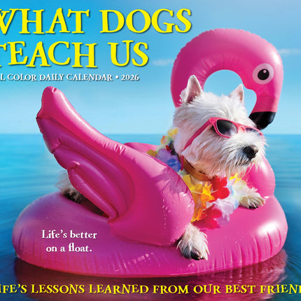 Willow Creek What Dogs Teach Us Scheurkalender 2026 Boxed