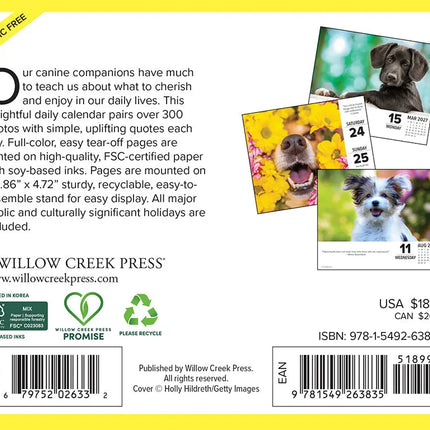 Willow Creek What Dogs Teach Us Scheurkalender 2027 Boxed