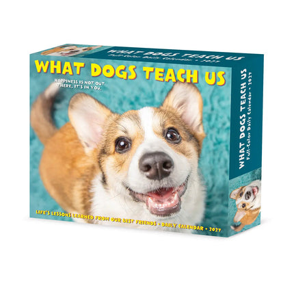 Willow Creek What Dogs Teach Us Scheurkalender 2027 Boxed