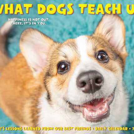 Willow Creek What Dogs Teach Us Scheurkalender 2027 Boxed