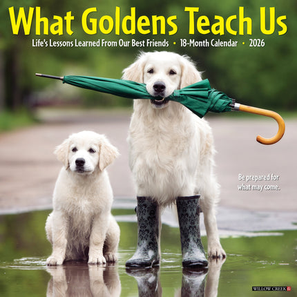 Willow Creek What Goldens Teach Us Kalender 2027