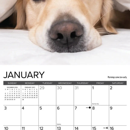 Willow Creek What Goldens Teach Us Kalender 2027