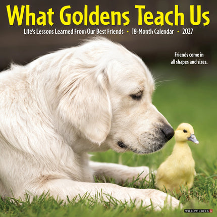 Willow Creek What Goldens Teach Us Kalender 2027