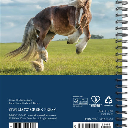 Willow Creek What Horses Teach Us Agenda 2027