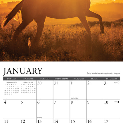 Willow Creek What Horses Teach Us Kalender 2026