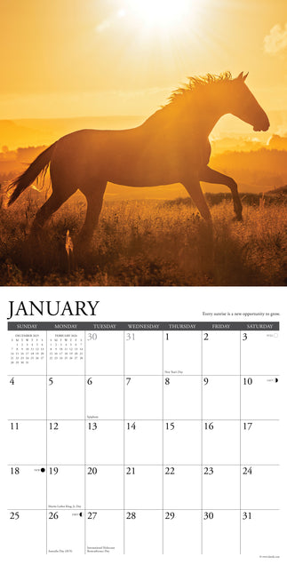 Willow Creek What Horses Teach Us Kalender 2026