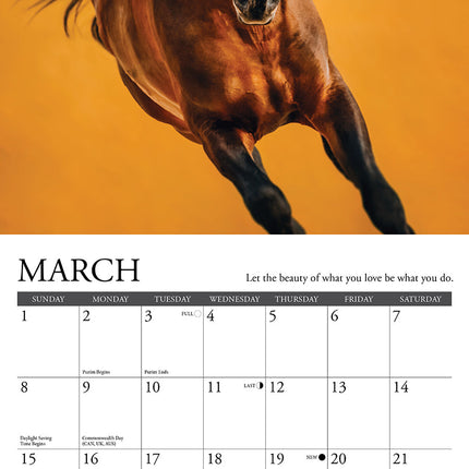 Willow Creek What Horses Teach Us Kalender 2026 Mini