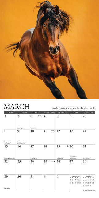 Willow Creek What Horses Teach Us Kalender 2026 Mini
