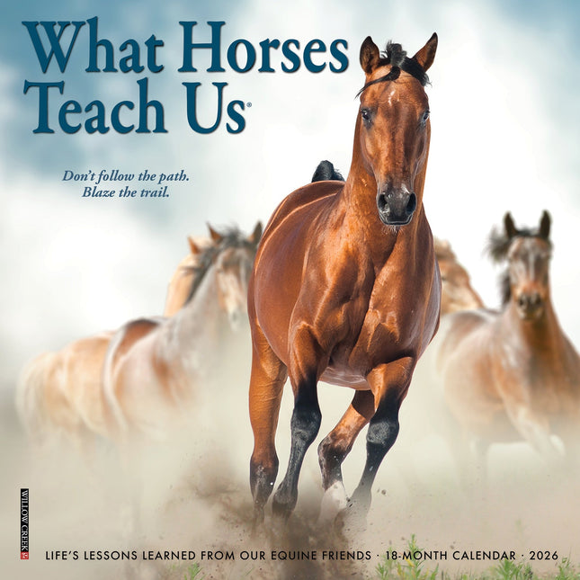 Willow Creek What Horses Teach Us Kalender 2026 Mini