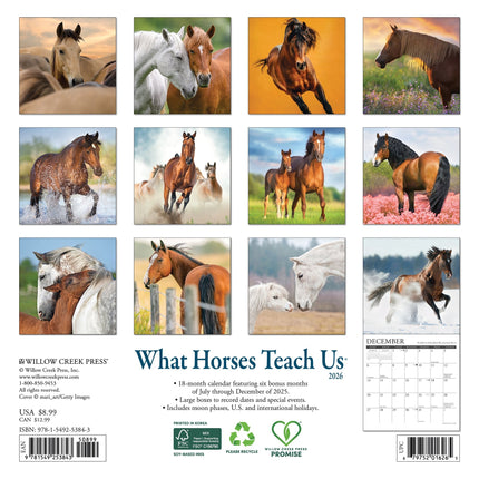 Willow Creek What Horses Teach Us Kalender 2026 Mini