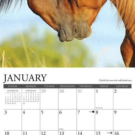 Willow Creek What Horses Teach Us Kalender 2027