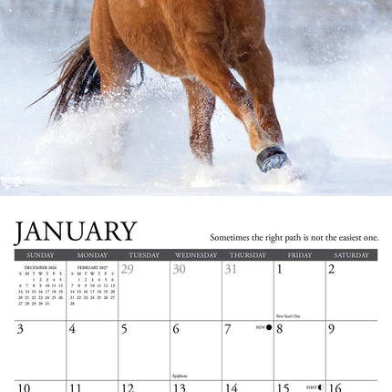 Willow Creek What Horses Teach Us Kalender 2027 Mini