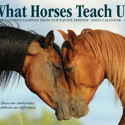 Willow Creek What Horses Teach Us Scheurkalender 2027 Boxed