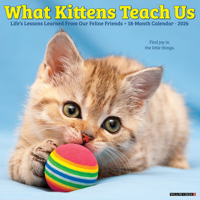 Willow Creek What Kittens Teach Us Kalender 2027