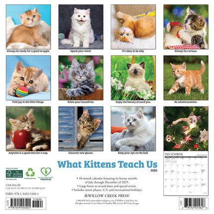 Willow Creek What Kittens Teach Us Kalender 2027