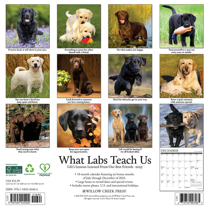 Willow Creek What Labs Teach Us Kalender 2025