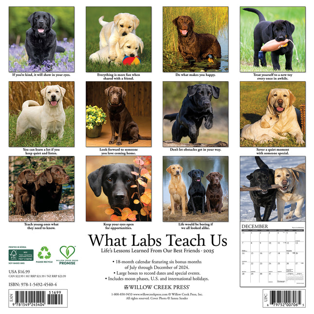 Willow Creek What Labs Teach Us Kalender 2025
