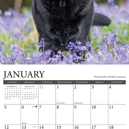 Willow Creek What Labs Teach Us Kalender 2025