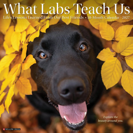Willow Creek What Labs Teach Us Kalender 2027
