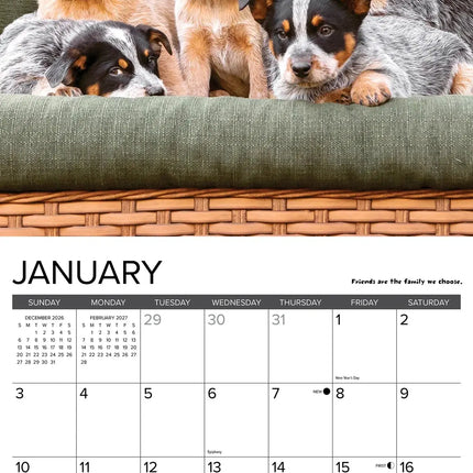 Willow Creek What Puppies Teach Us Kalender 2027