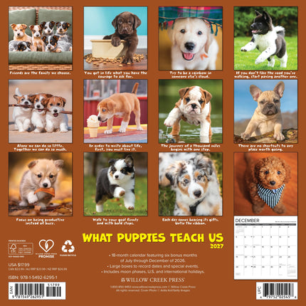 Willow Creek What Puppies Teach Us Kalender 2027