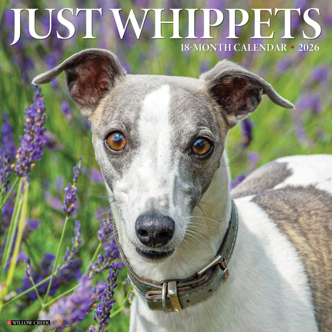 Willow Creek Whippet Kalender 2026