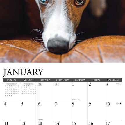 Willow Creek Whippet Kalender 2026