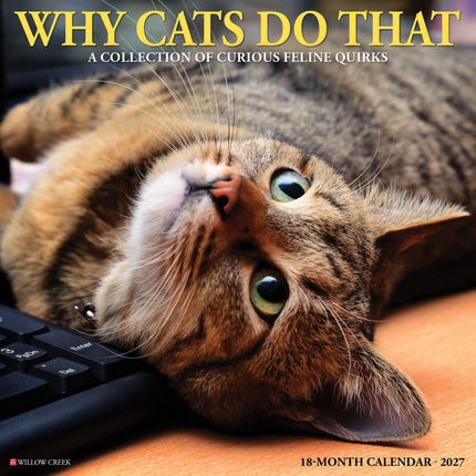 Willow Creek Why Cats Do That Kalender 2027