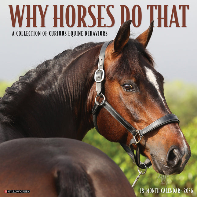 Willow Creek Why Horses Do That Kalender 2026