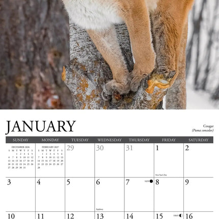 Willow Creek Wilde Dieren in het Noorden Kalender 2027