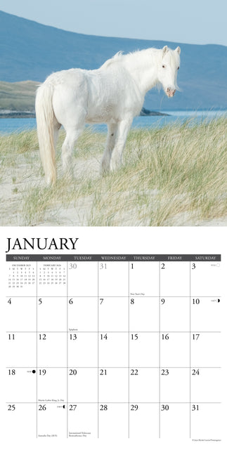 Willow Creek Wilde Paarden Kalender 2026