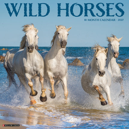 Willow Creek Wilde Paarden Kalender 2027