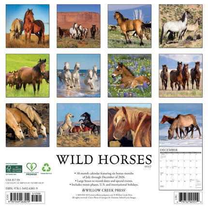 Willow Creek Wilde Paarden Kalender 2027