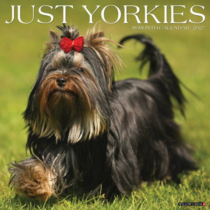 Willow Creek Yorkshire Terrier Kalender 2027