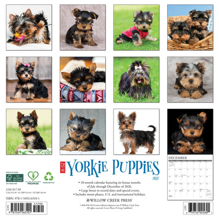 Willow Creek Yorkshire Terrier Puppies Kalender 2027
