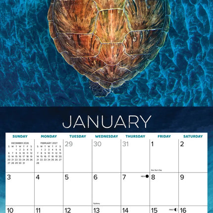 Willow Creek Zeeschildpadden Kalender 2027