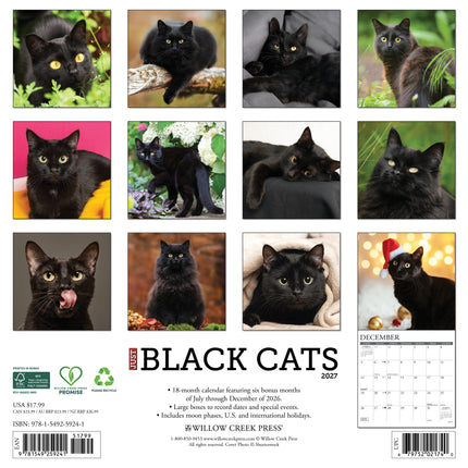 Willow Creek Zwarte Katten Kalender 2027