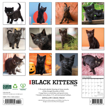 Willow Creek Zwarte Kittens Kalender 2025