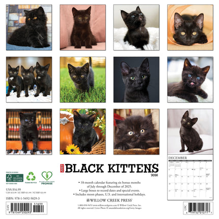 Willow Creek Zwarte Kittens Kalender 2026
