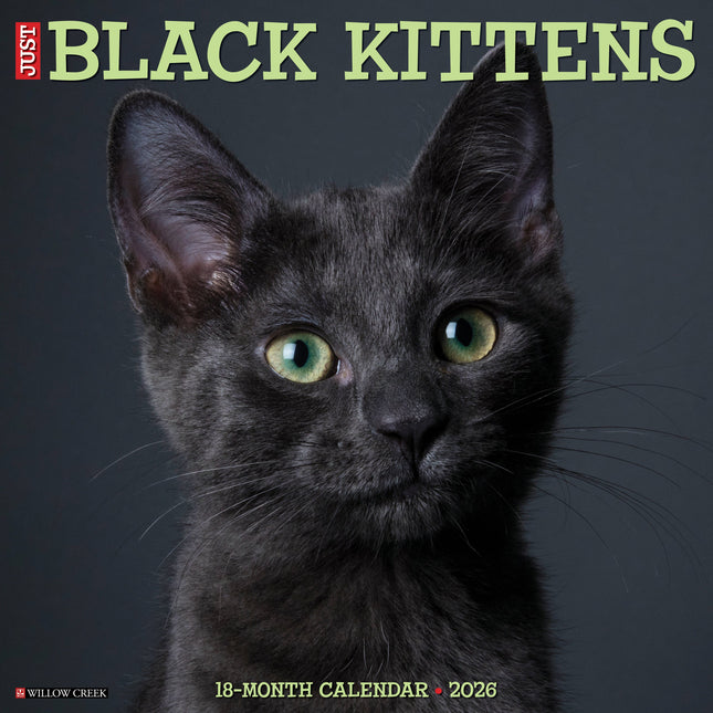 Willow Creek Zwarte Kittens Kalender 2027