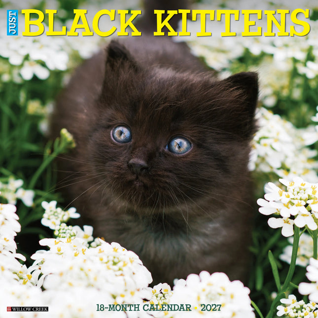 Willow Creek Zwarte Kittens Kalender 2027
