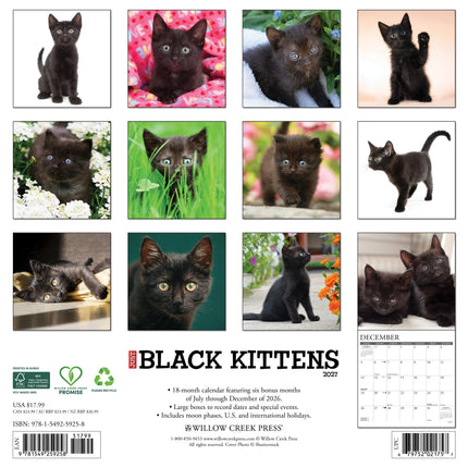 Willow Creek Zwarte Kittens Kalender 2027